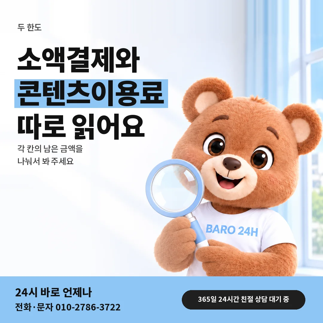 돋보기를 든 BARO 24H 티셔츠를 입은 3D 곰 캐릭터 옆에 「두 한도 따로 확인하기」 제목을 얹은 안내 카드